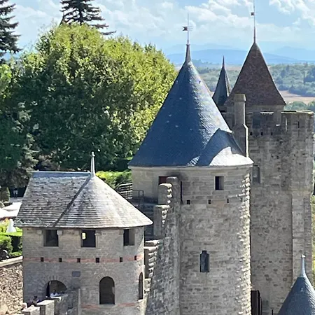 Appartement Tres Calme, Rdc, 800 M De La Cite Medievale Classee Au Patrimoine De L'Unesco Carcassonne Exterior photo